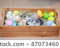 Group of baby Holland lop rabbits in the nest with mommy fur and hay and decorate with Easter eggs. Happy Easter Happy holiday. 87073460