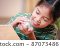 Asian child girl holding tiny bunny in hand with tenderness and love. Kid take care a pet and decorate home for Easter. Happy Easter Happy holiday. 87073486