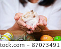 Asian woman holding tiny bunny in hand with tenderness and love. People take care a pet and decorate home for Easter. Happy Easter Happy holiday. 87073491
