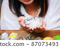 Asian woman holding tiny bunny in hand with tenderness and love. People take care a pet and decorate home for Easter. Happy Easter Happy holiday. 87073493
