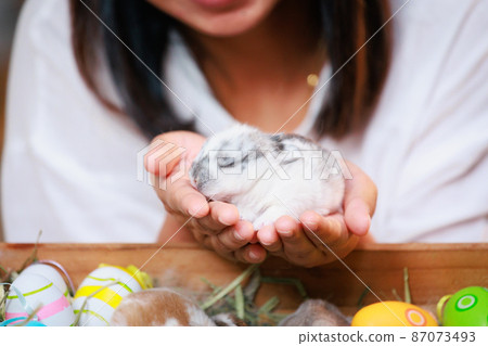 Asian woman holding tiny bunny in hand with tenderness and love. People take care a pet and decorate home for Easter. Happy Easter Happy holiday. 87073493
