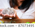 Asian woman holding tiny bunny in hand with tenderness and love. People take care a pet and decorate home for Easter. Happy Easter Happy holiday. 87073495