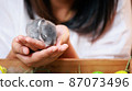 Asian woman holding tiny bunny in hand with tenderness and love. People take care a pet and decorate home for Easter. Happy Easter Happy holiday. 87073496