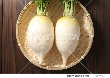 Shogoin Daikon 87074668