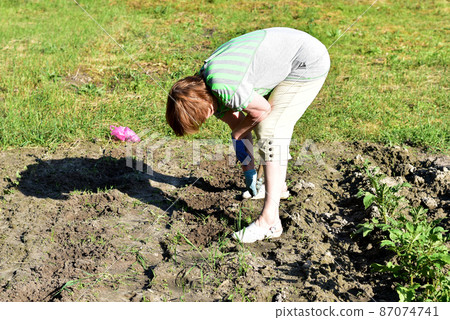 The woman, bending over, throws the seeds into the loose earth. 87074741