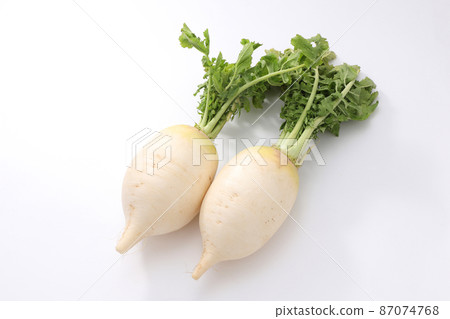 Shogoin Daikon Shogoin Daikon 87074768
