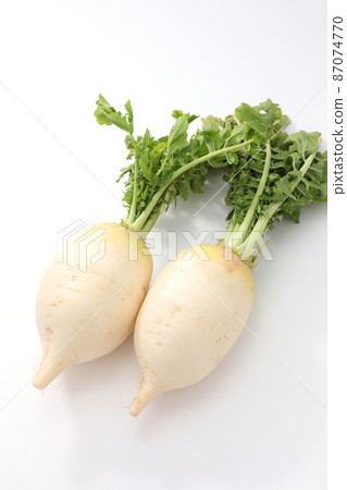Shogoin Daikon Shogoin Daikon 87074770