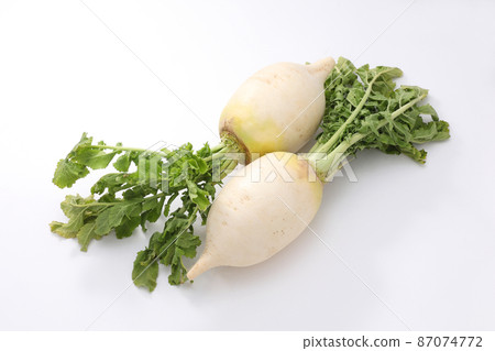 Shogoin Daikon 87074772