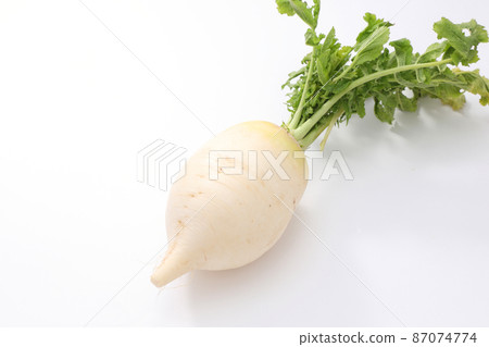 Shogoin Daikon 87074774