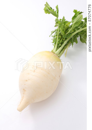 Shogoin Daikon Shogoin Daikon 87074776