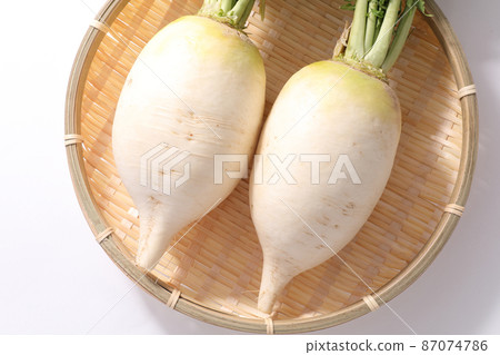 Shogoin Daikon Shogoin Daikon 87074786