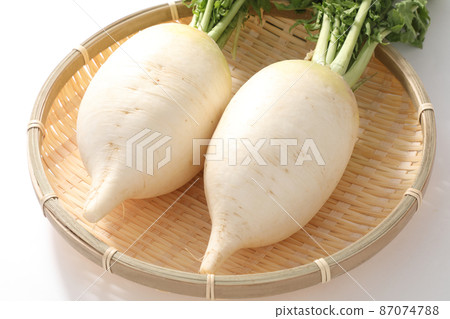 Shogoin Daikon Shogoin Daikon 87074788