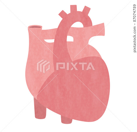 Illustration of the heart Illustration of the heart 87074789