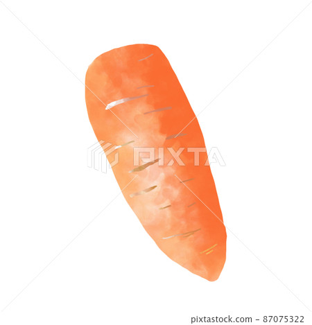 Vegetable carrot watercolor style illustration 87075322