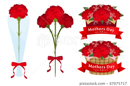 Carnation bouquets and gifts Mother's Day illustrations 87075717