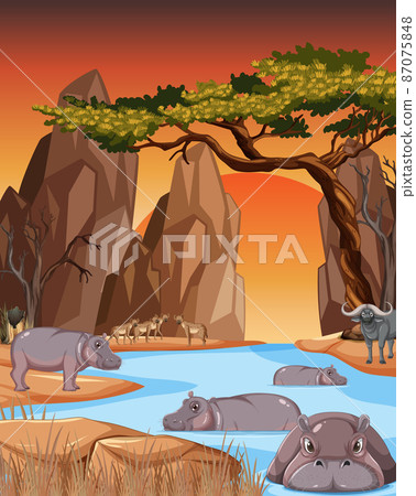 Tropical forest scene with hippopotamus 87075848