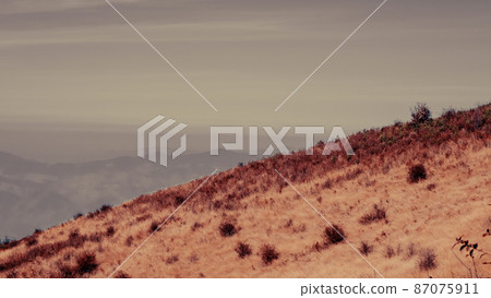 Mountain without trees from the agricultural industry in the north of Thailand. arid meadow on the mountain 87075911