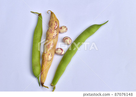 Three pods and grains of beans. 87076148