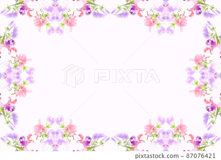 Sweet pea background material Sweet pea background material 87076421