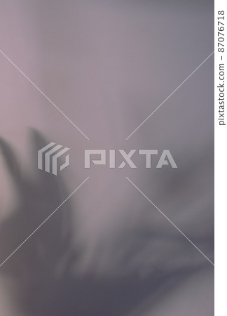 Blurry shadow silhouette of natural leaves overlay on grey neutral wall abstract texture background. Blurry shadow silhouette of natural leaves overlay on grey neutral wall abstract texture background. 87076718