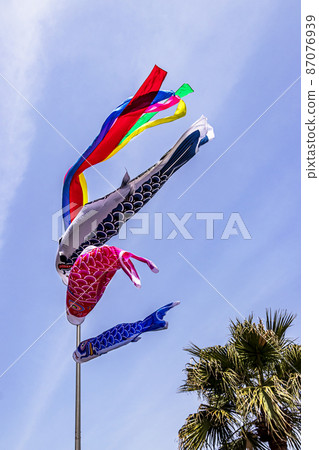Japanese custom of letting a carp streamer swim high in the blue sky at the end of May 5th, hoping for the healthy growth of boys 87076939