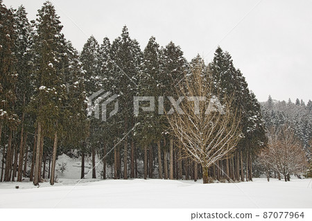 Ichijodani Asakura Ruins-Winter Ichijodani Asakura Ruins-Winter 87077964