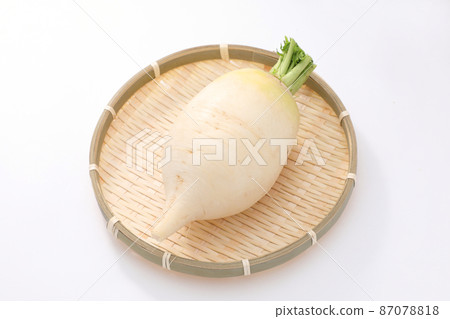Shogoin Daikon Shogoin Daikon 87078818