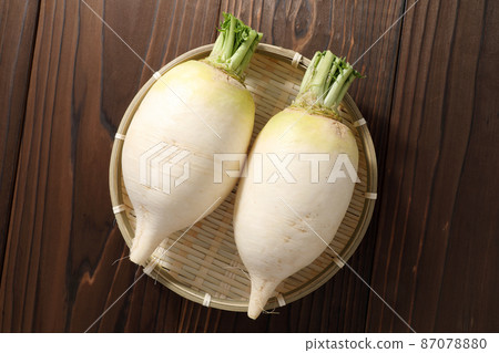 Shogoin Daikon Shogoin Daikon 87078880