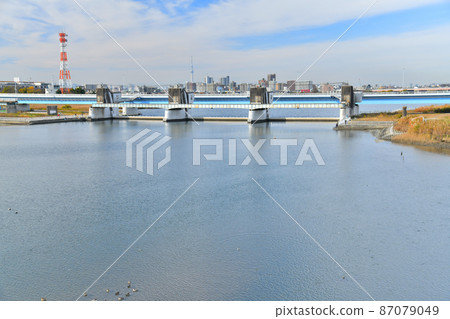 從江戶川看神行德橋/行德橋/行德動堰（千葉縣市川市）[2021.11] 87079049
