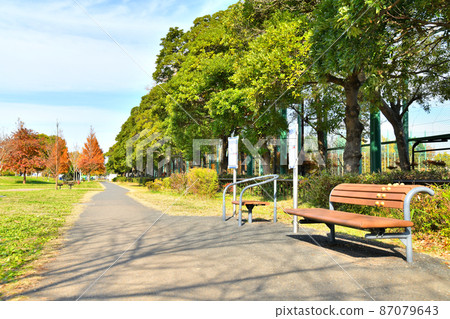 Shinozaki Park B Area (Edogawa-ku, Tokyo) [2021.11] 87079643