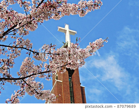 Church cross and cherry blossoms 87079689
