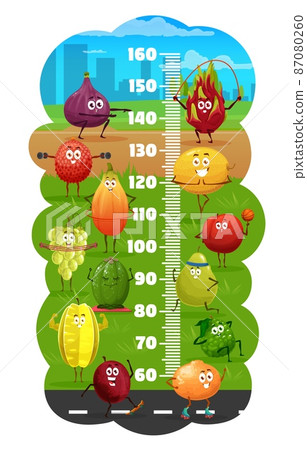 Kids height chart with cartoon fruits characters on fitness. Child growth meter ruler with dragon fruit, fig and lychee, papaya, grape and kiwi, melon, carambola and bergamot, guava doing exercises Kids height chart with cartoon fruits characters on fitness. Child growth meter ruler with dragon fruit, fig and lychee, papaya, grape and kiwi, melon, carambola and bergamot, guava doing exercises 87080260