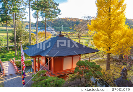 Tatsuya Cave Ginkgo Tree and Benten-do (Hiraizumi Town, Iwate Prefecture) 87081079