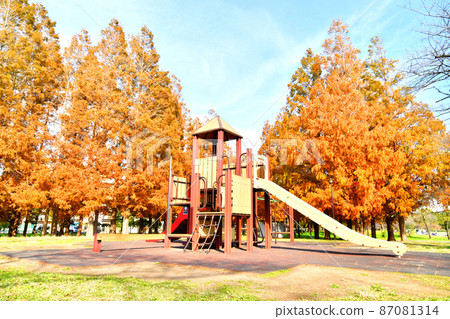 Tokyo Metropolitan Shinozaki Park A District (Edogawa-ku, Tokyo) [2021.11] 87081314