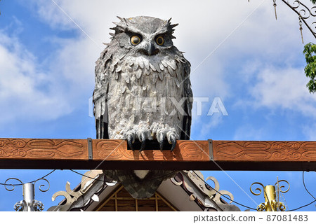 Northern land 87081483