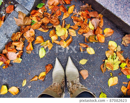A girl standing in the fallen leaves 87082623