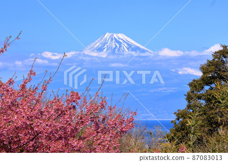 靜岡縣伊豆市小下田 下村神社 山下神社 鳥居門和世界遺產富士山上盛開的早花土肥櫻花 靜岡縣伊豆市小下田 下村神社 山下神社 鳥居門和世界遺產富士山上盛開的早花土肥櫻花 87083013