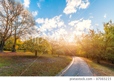 Walking trail in autumn colours across the park in Adelaide Hills 87083215