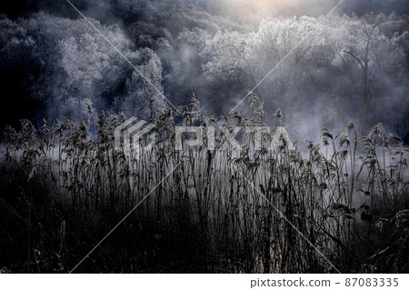 Hokkaido storm, hoarfrost and pond Hokkaido storm, hoarfrost and pond 87083335