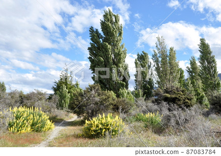 Walking course Walking course 87083784