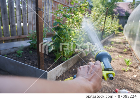 A man's hand spraying an aqueous solution on plants under pressure. Watering a raspberry bush in the garden. Gardening concept. High quality 4k footage A man's hand spraying an aqueous solution on plants under pressure. Watering a raspberry bush in the garden. Gardening concept. High quality 4k footage 87085224