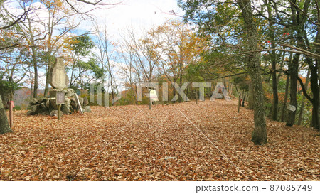 Honmaru of Tenjinyama Castle, Wake-cho, Wake-gun, Okayama Prefecture 87085749