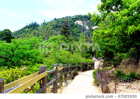 [Hiroshima] Mt. Misen Miyajima in early summer, a mountain trail leading from Shishiiwa Station to Reikado 87085930