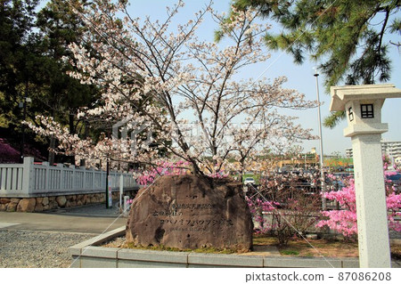 Hirota Shrine's Kobanomitsubatsuji community Hirota Shrine's Kobanomitsubatsuji community 87086208
