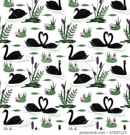 Colorful seamless pattern with gorgeous wild black swans floating in marsh or swamp among water plants. Vector illustration 87087225
