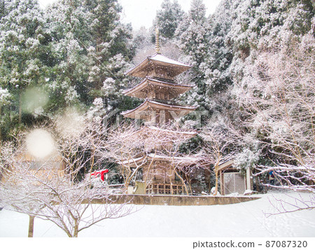 新潟縣燕市修道寺 新潟縣燕市修道寺 87087320