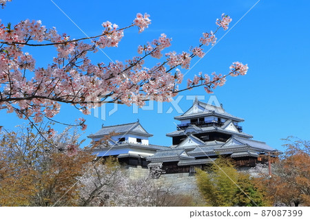 [Ehime Prefecture] Matsuyama Castle in the spring when cherry blossoms bloom (existing castle tower) 87087399