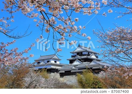[Ehime Prefecture] Matsuyama Castle in the spring when cherry blossoms bloom (existing castle tower) 87087400