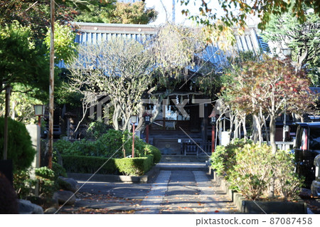 白山神社,市內安靜的神社 白山神社,市內安靜的神社 87087458