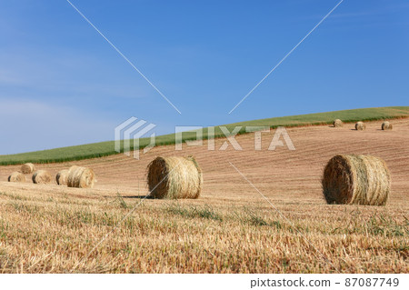 Carefully cultivated Tuscan hills' meadows with bales of hay and clear horizon. Val d'Orcia, Italy Carefully cultivated Tuscan hills' meadows with bales of hay and clear horizon. Val d'Orcia, Italy 87087749